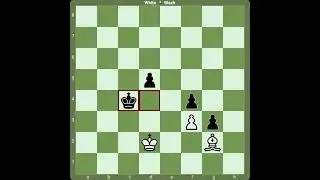 #chessendgame #chessclips #chesslessons