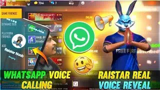 Voice Reveal🎤