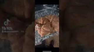 Nutella.meme