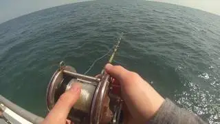 Grunt fishing Gulf of Mexico