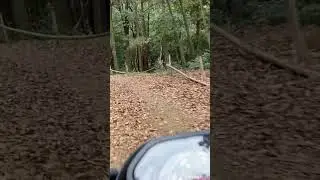 クロスカブ110 JA45 オフロード走行