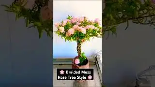 🌸 Beautiful Braided Moss Rose Tree | Unique Portulaca Styling | Creative Gardening Idea 🌿 #shorts