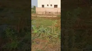 1500sqft Plot for sale near IT TOWER