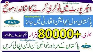 Pakistan Civil Aviation Authority Jobs 2022 - PCAA Jobs 2022 Application Form - Online Apply