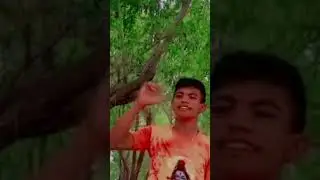 Handi Dipil Me