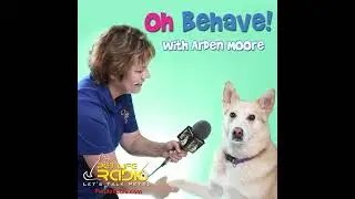 Oh Behave - Episode 491 We Talk All Things Cats and Business Leadership Tips with Cat Writers Ass...