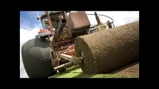 Most Modern Farming Machine, Automatic Multi Row Slab Sod Harvester, Amazing Turf Cutting Machine