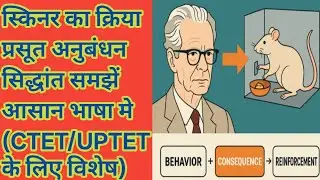 Skinner's operant conditioning theory/Skinner reinforcement