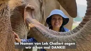 Das Patenprogramm von Future For Elephants e.V. im Elephant Nature Park/Thailand