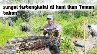 Sekil tangkapan pakai tangan mantap dapat babon bro