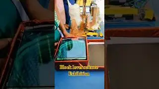 🌟🧪 Student Explained Science Project