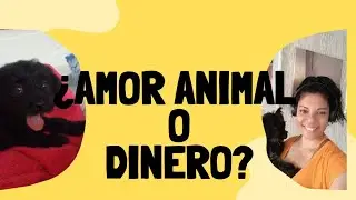 No es crítica: es una llamada a cuidar mejor la salud animal