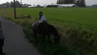 Sunny Farm(2019/04/07)