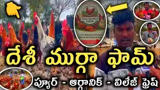 Desi Murga Farm,Pure-Organic-Village Fresh||దేశీ ముర్గా ఫామ్,ప్యూర్ - ఆర్గానిక్ - విలేజ్ ఫ్రెష్👌🐔||