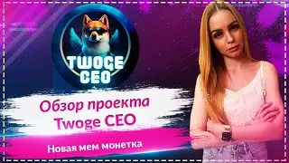 Twoge Ceo - новая мем монетка🚀Twoge &mdash; вдохновлен легендами Twitter Илоном Маском и CZ Binance🚀🚀🚀