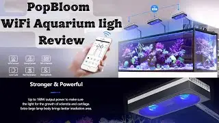 PopBloom RL90 / RL180 WiFi Full Spectrum Aquarium LED Light &ndash; Reef-Safe Lighting