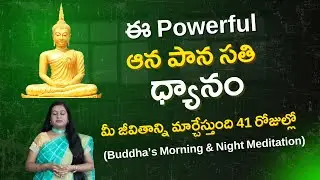 Aana Pana Sati Buddha's Meditation | Practice for 41 Days Morning & Night to Change Your Life