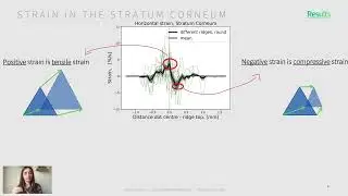 SFN21 -Imaging dynamic subsurface skin strain patterns during object interaction using OCT- Corniani