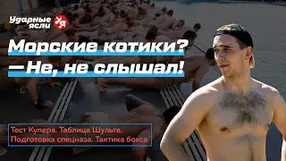 Тест Купера. Таблица Шульте. Подготовка спецназа. Тактика бокса.