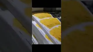 Paper Cup Fan