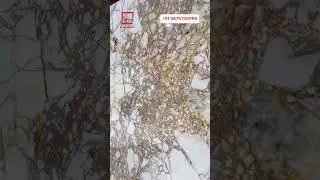 Best Highlighters For Home | Imported Collection | Squarefeet Marble Kishangarh