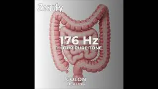 176 Hz Pure Tone | Colon Healing
