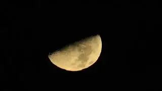 Moonbird