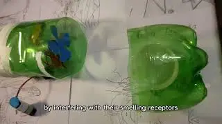 Mosquito repelent with herbal mixture and recycled materials 🥰
