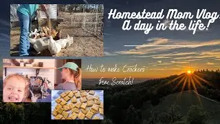 Homesteading Mom Vlog! A day in the Life- Crackers from scratch!