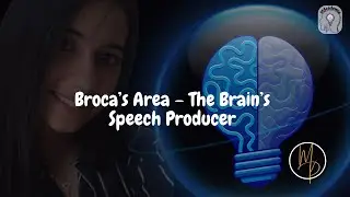 Ep. 21 | Broca&rsquo;s Area &ndash; How Your Brain Turns Thoughts Into Speech