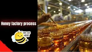 From Hive to Jar: Honey's Sweet Journey🍯🐝