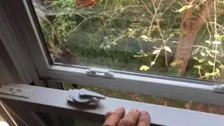 Scared Windows