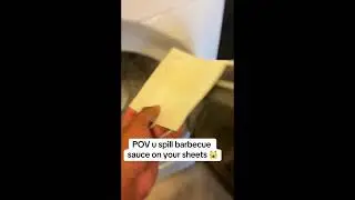 Zero Trace Laundry Detergent Sheets 🧺 | Clean, Simple & Plastic-Free