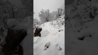 Watch the video of heavy snowfall here in Uttarakhand.