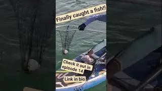 Dockside Surprise 🐡😆      #sailingwithstephen #fishing #catalina #sailing