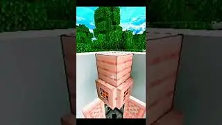 Armor Equipper in Minecraft #birdtrend #trendingsound #trendingshorts #subscribe  #viral #shorts