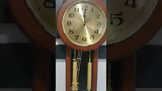 Relógio Carrilhão Eletrônico Westminster Ave Maria Bimbam Herweg 530007 Avô Pai Mãe
