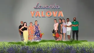 ADIM ADIM YALOVA - Lavanta Hasatı