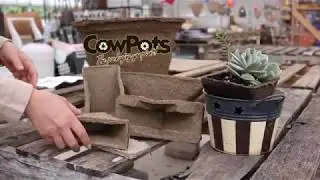 CowPots Sustainable Packaging