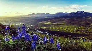 The Introvert | Piano Instrumental Emotional ♫ Inspiring Music ♫