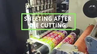 DIMO'S SMQ-A Digital Label Die Cutting Machine Cutting a 700mm long label! #digitallabelcutter