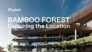 Bamboo Forest &mdash; рассказываем о локации | Harmony Group Phuket
