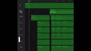 Beat ninho zipette