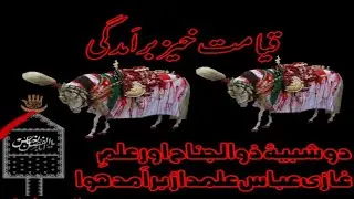 Chahlam baramdagi 18 Safar 2021 at Shesh Mahal Sheikhupura #live #azadarinetwork #viral #majlis