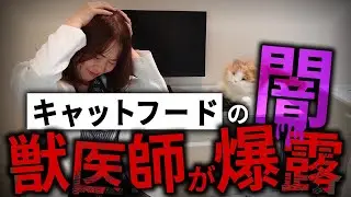 【衝撃】おすすめキャットフードの裏側…獣医が本音で語ります【猫の寿命】