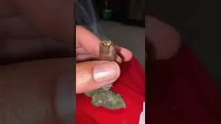 BigBud & BackWood.. #420 #high #smoke #zaza #bud #backwood