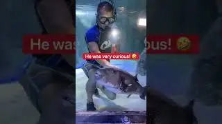 Holding A Shark!!! 😱🦈 #shorts #shark
