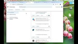 How to fix Google Translate extension page translation 