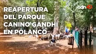 Vuelven perritos al parque canino Gandhi en Polanco I M&eacute;xico en tiempo real