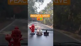 Driving Through Greenery in Karnataka 🚗🌳 | Nature Shorts | Travel Vibes | Family Time